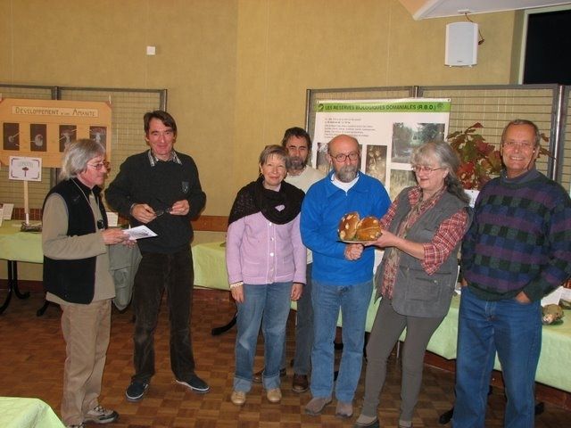 Expo champignons a St Leger 96